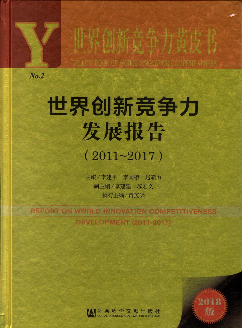 入肉騒世界创新竞争力发展报告（2011-2017）